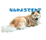 834283098