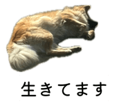 834283108
