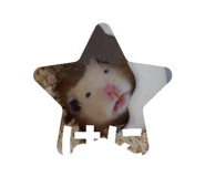 834299425
