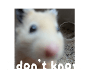 834299427