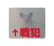 834299428