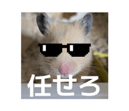 834299429