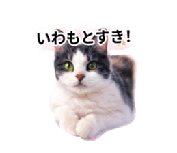 834303450