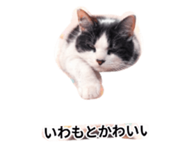 834303452