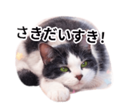 834303455