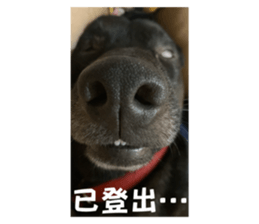 834306234