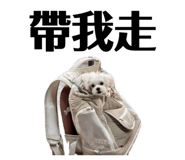 834306553