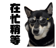834307055