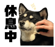 834307058