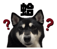 834307076