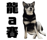 834307078