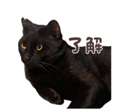 834318131