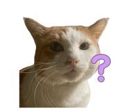 834318152