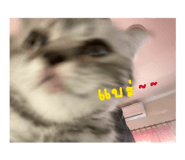 834319354