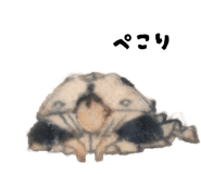 834323744