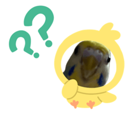 834346337