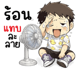 ลายที่ 11