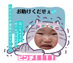 834353556