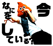 834356661