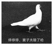 834358177