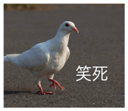 834358179