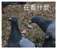 834358181