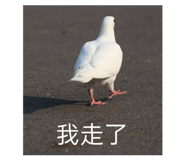 834358184