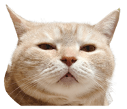 834363601