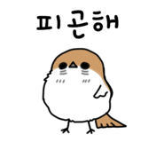 834364640