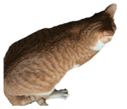 834370222