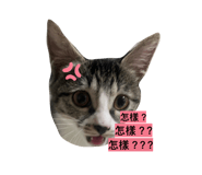834370226