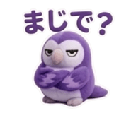 834375036
