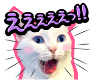 834377194