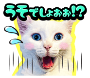 834377195