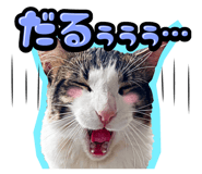 834377197