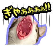 834377200