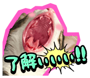 834377214