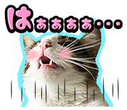 834377215