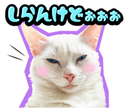 834377218