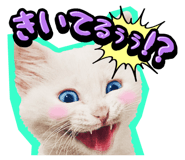 834377220