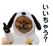 834440988