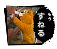 834443112