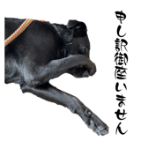 834443794