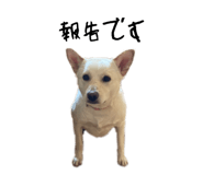 834443797