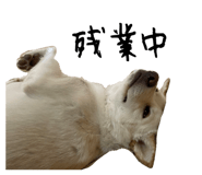 834443809