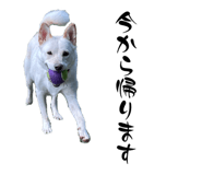 834443814