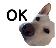 834443823