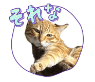 834454063