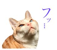 834479289