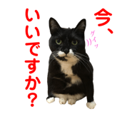 834479293